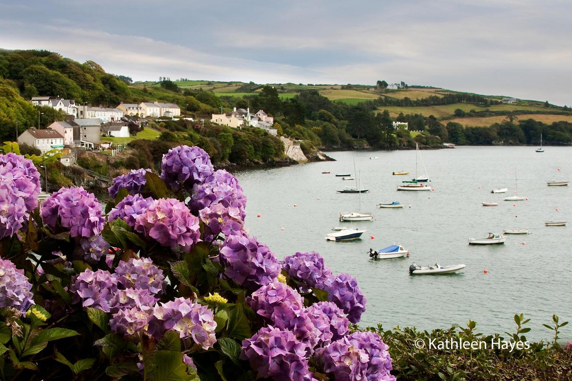 Bay View B&B Glandore Δωμάτιο φωτογραφία